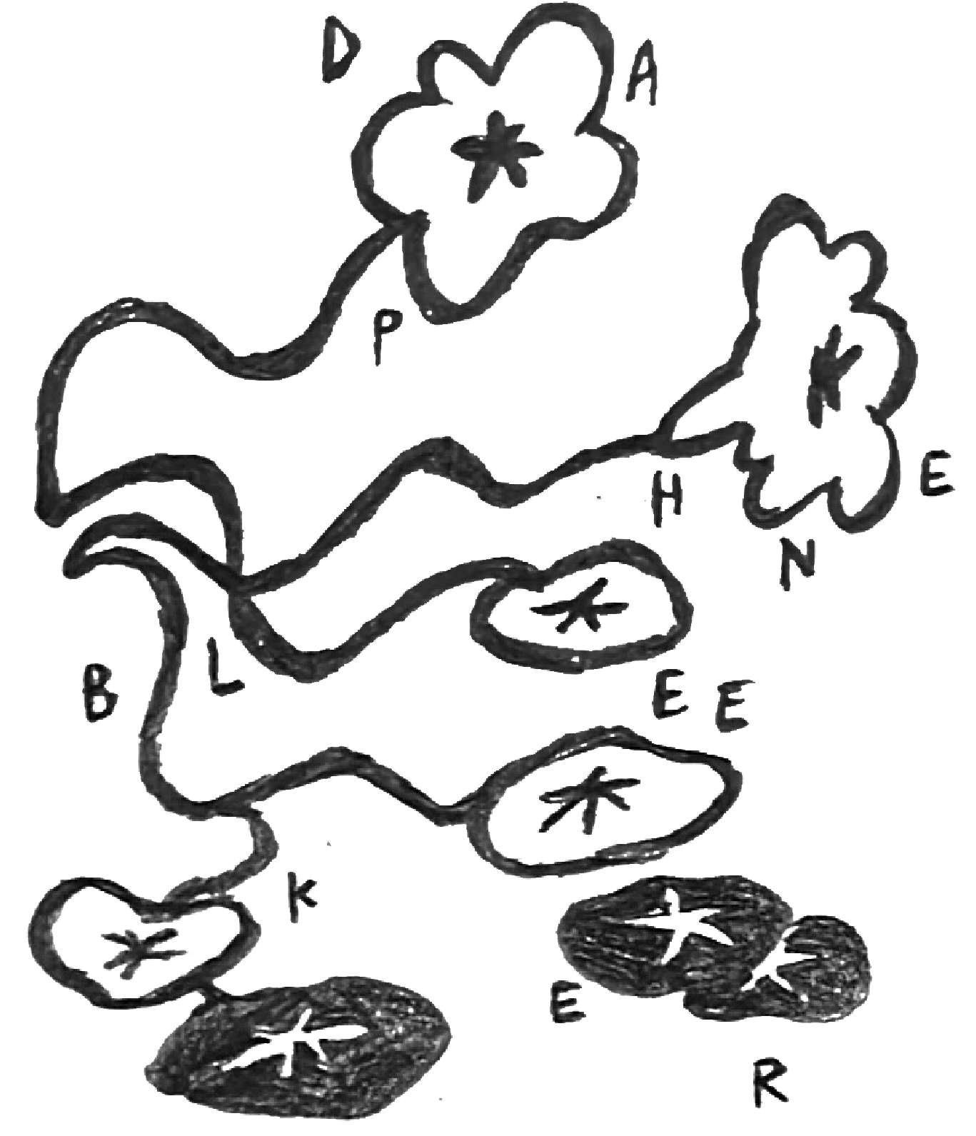 Daphne Bleeker Logo